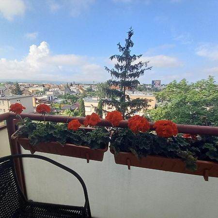 Apartman Lienka Free Parking City Centre Trenčín 外观 照片