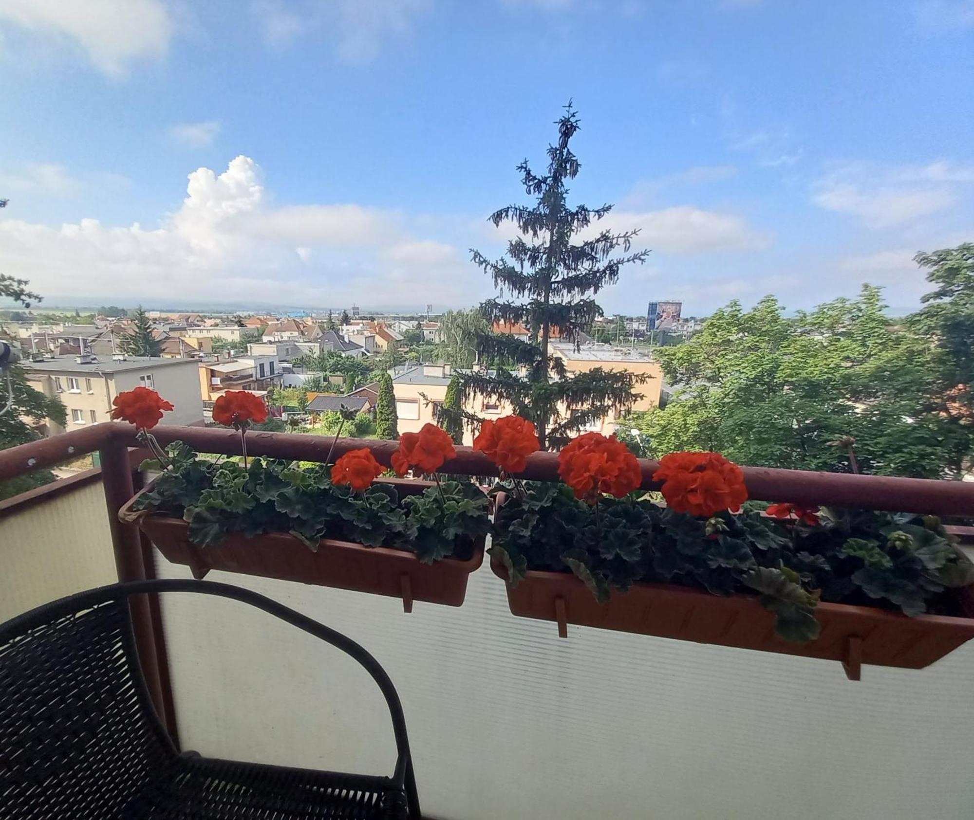Apartman Lienka Free Parking City Centre Trenčín 外观 照片